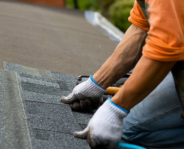 Roof Gutter Cleaning in Buffalo, NY